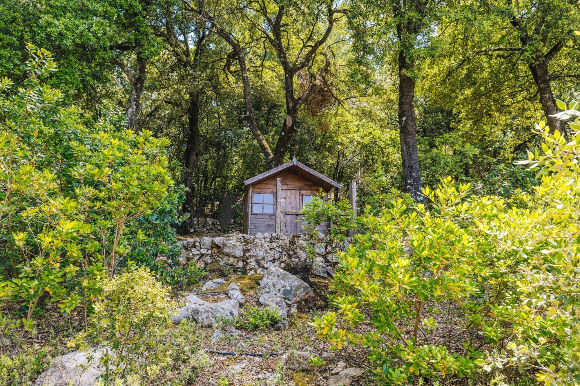 אסקורקה Ca'S Pastor - Chalet De Montana מראה חיצוני תמונה